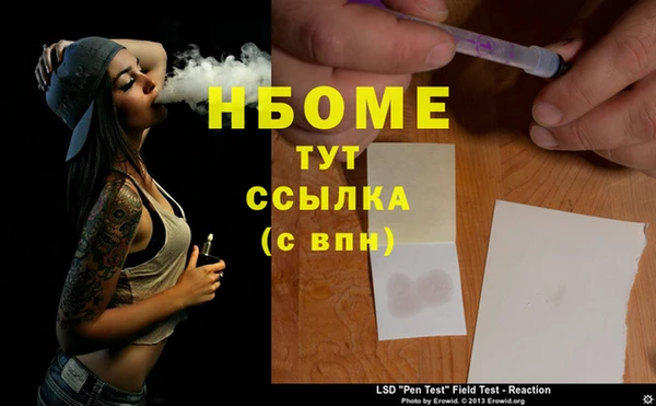 гашик Няндома