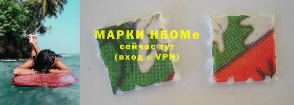 гашик Няндома