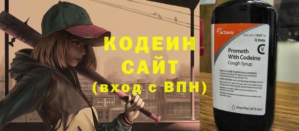 гашик Няндома