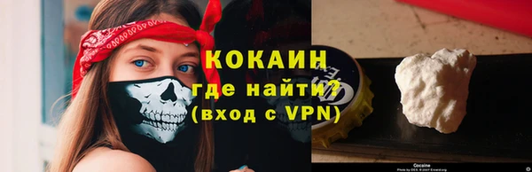 гашик Няндома