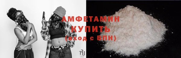 гашик Няндома