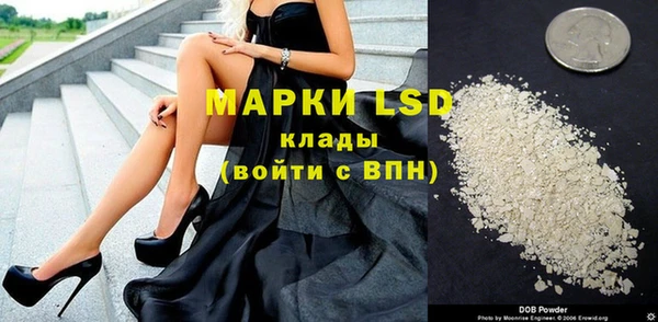 гашик Няндома