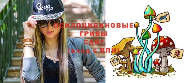 гашик Няндома