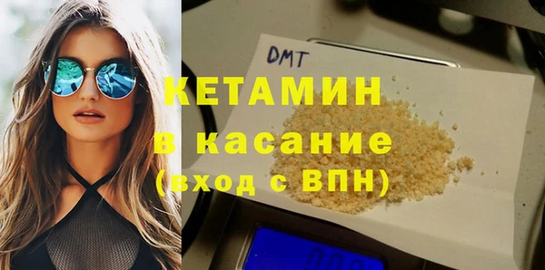гашик Няндома
