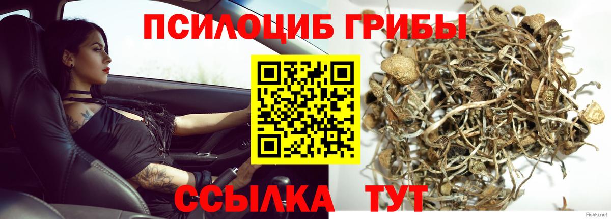 Псилоцибиновые грибы MAGIC MUSHROOMS  Псилоцибиновые грибы Magic Shrooms  Вход с VPN  Отрадное 