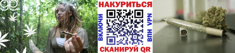 Марихуана план Отрадное